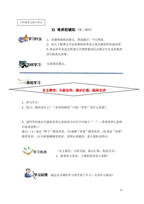 21 奇异的琥珀(第二课时)