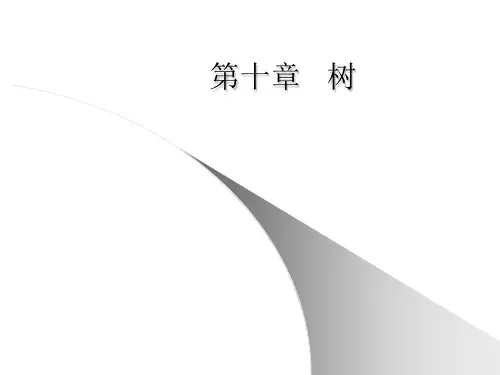 集合论与图论第十章   树