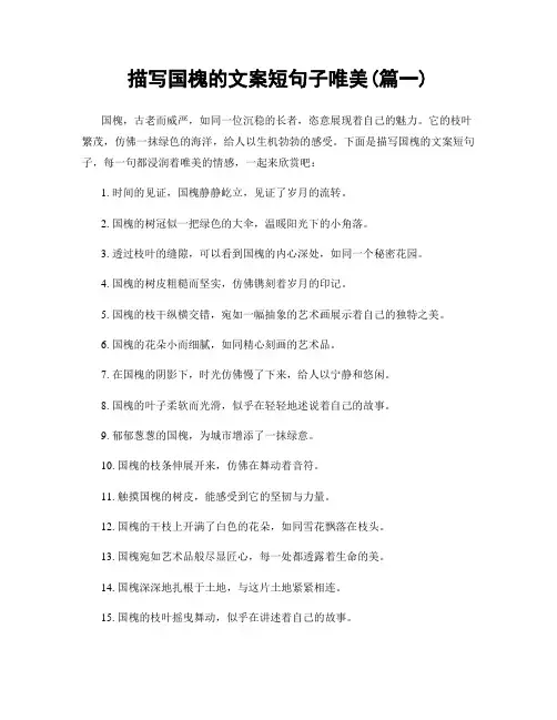 描写国槐的文案短句子唯美(精选2篇)