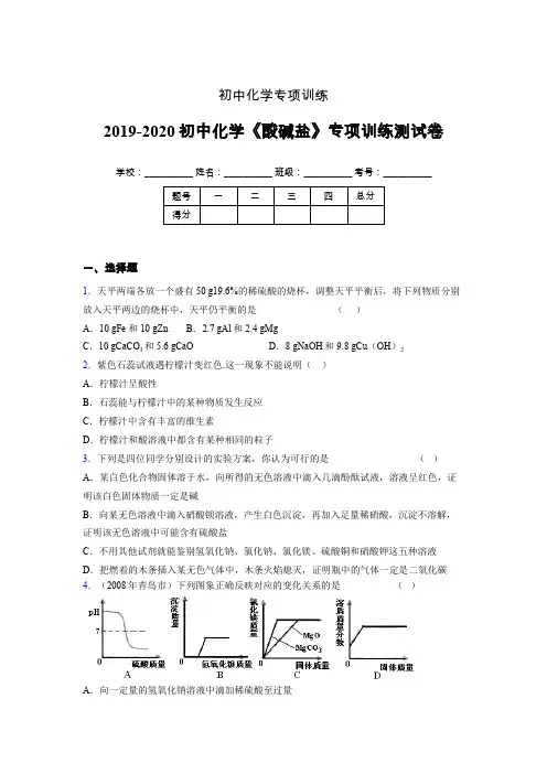 2019-2020学年初中化学《酸碱盐》专项训练模拟测试(含答案) (111)