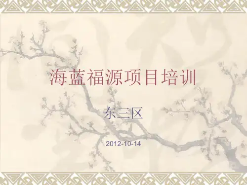 海南海蓝福源东三区项目介绍