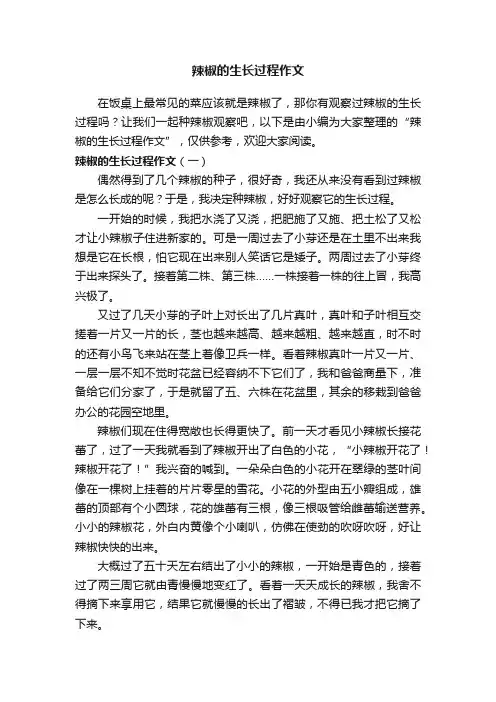 辣椒的生长过程作文