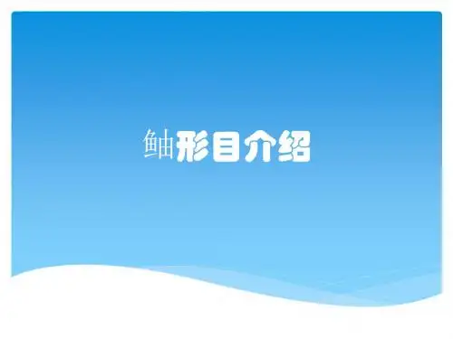 鲉形目介绍