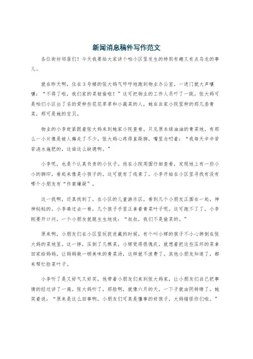 新闻消息稿件写作范文