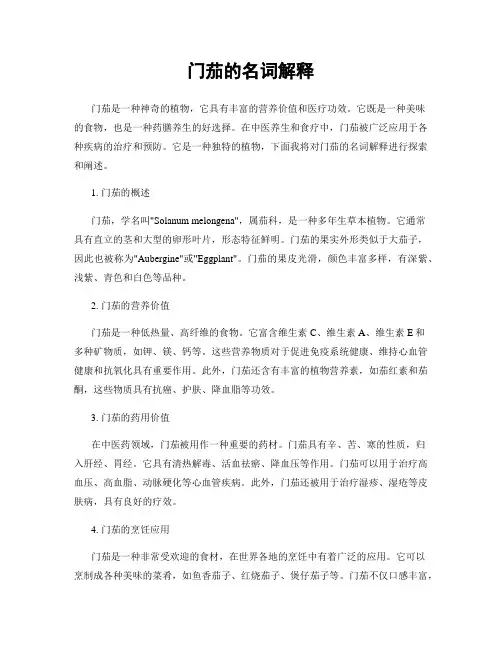 门茄的名词解释