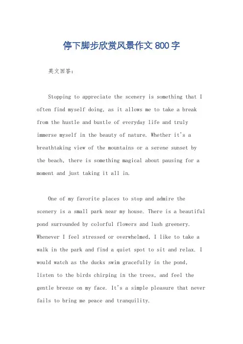 停下脚步欣赏风景作文800字