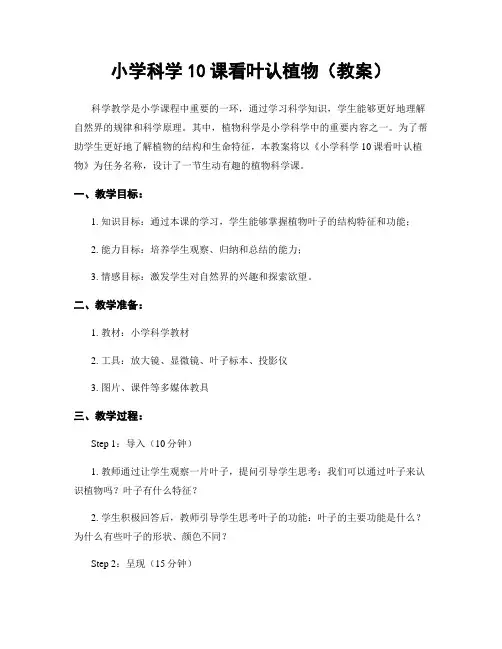 小学科学10课看叶认植物(教案)
