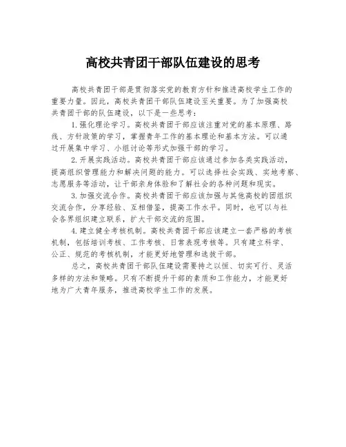 高校共青团干部队伍建设的思考