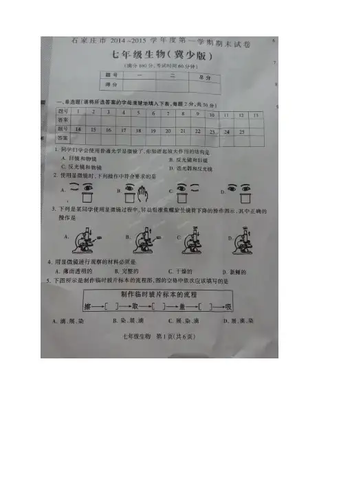 河北省石家庄市2014-2015学年七年级上学期期末统考(全