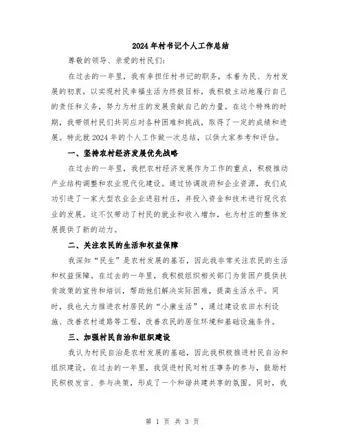 2024年村书记个人工作总结