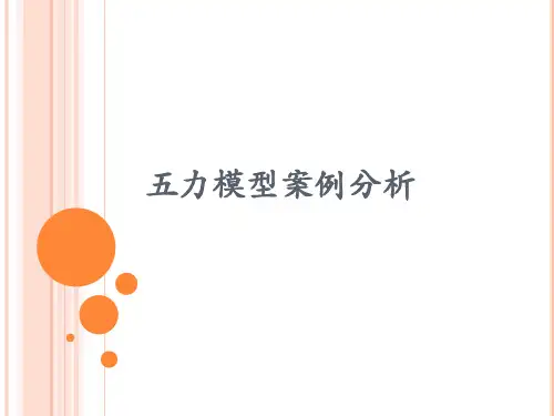 五力模型案例分析