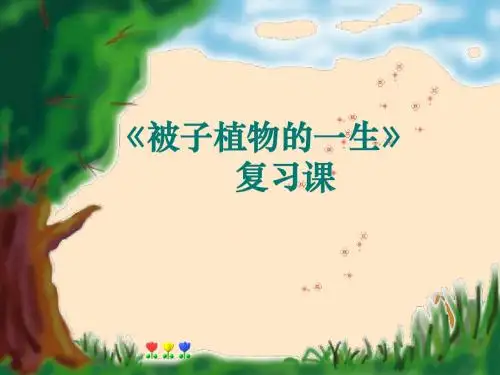 《第二章 被子植物的一生》专题复习课件