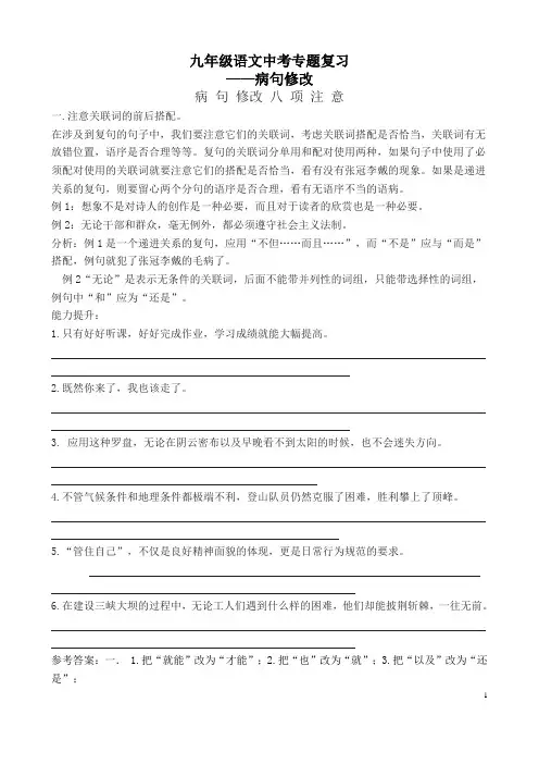 中考语文专题复习