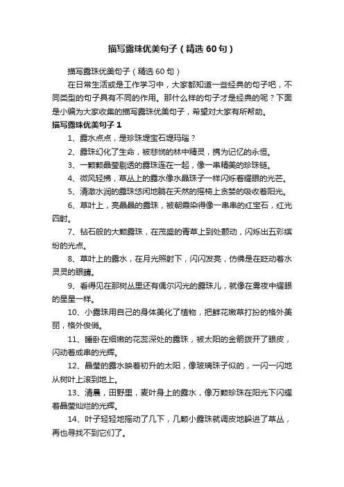 描写露珠优美句子（精选60句）