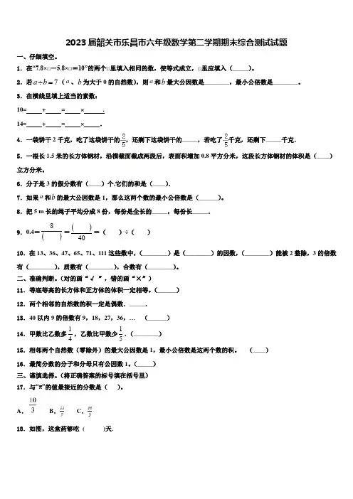 2023届韶关市乐昌市六年级数学第二学期期末综合测试试题含解析