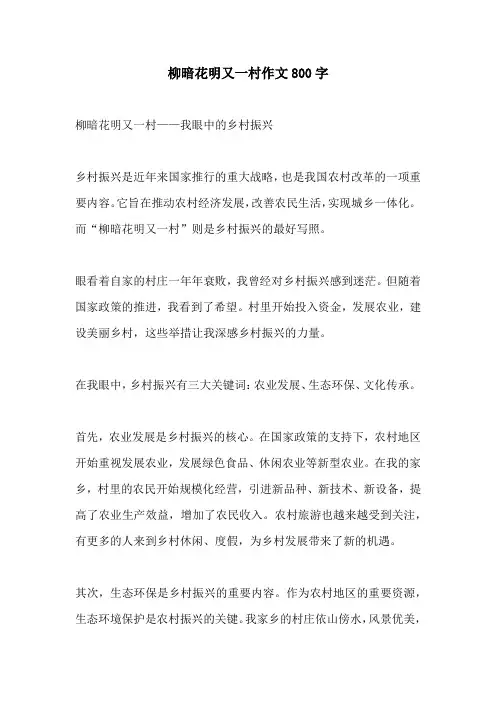 柳暗花明又一村作文800字