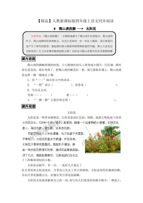 四年级上语文同步阅读及答案-6.爬山虎的脚-人教新课标