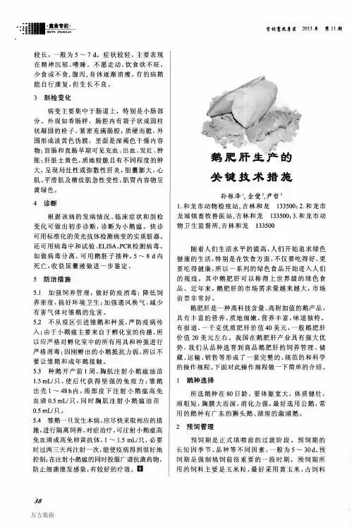 鹅肥肝生产的关键技术措施