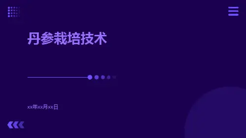 丹参栽培技术