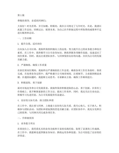 升职级工作总结范文(3篇)