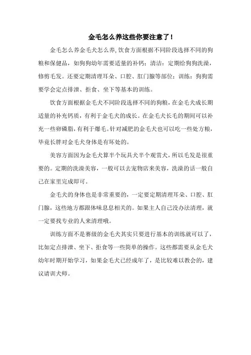 金毛怎么养这些你要注意了!