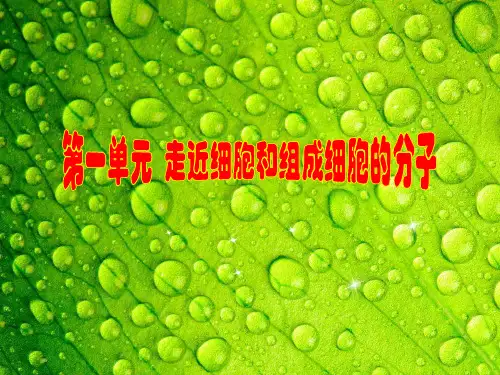 高考生物复习资料考能专项突破一ppt课件