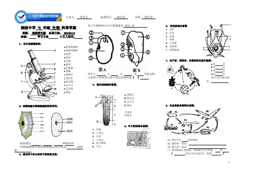 人教版七年级生物上册填图、探究总复习卷