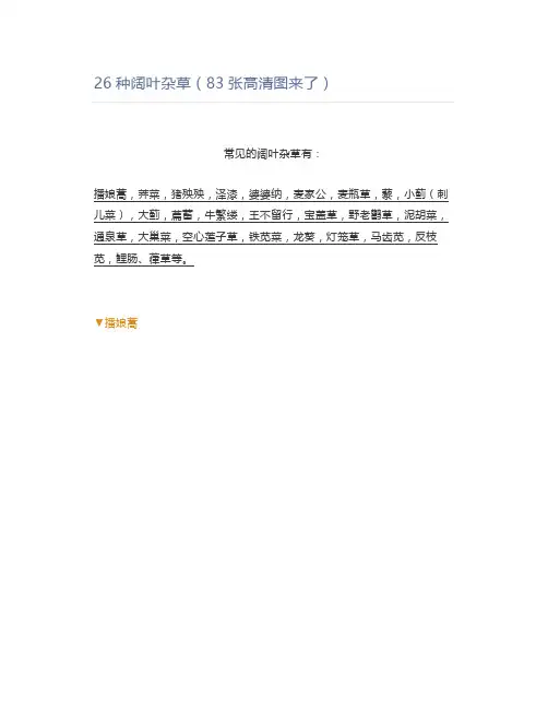 【农业】26种阔叶杂草(83张高清图来了)