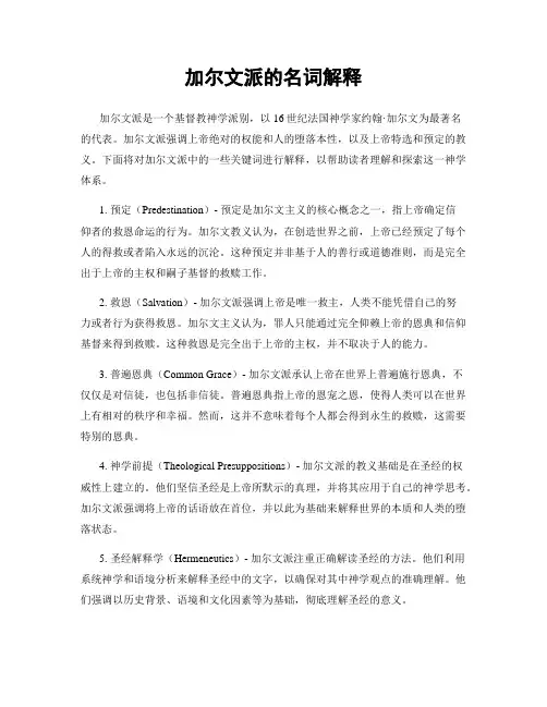 加尔文派的名词解释