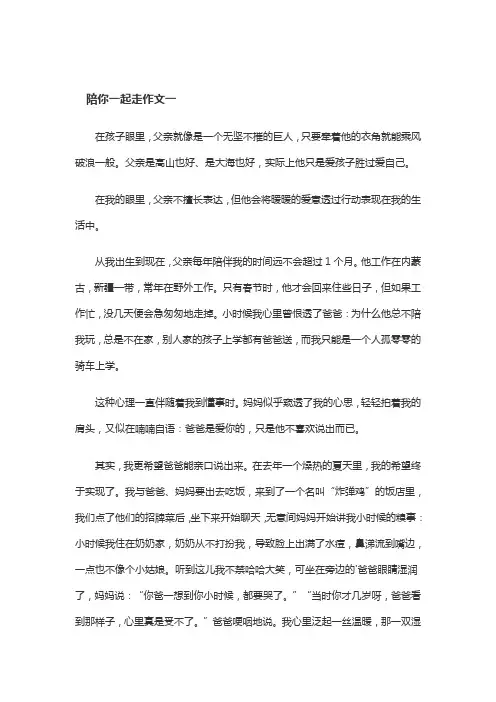 写一篇陪你一起什么作文六百字