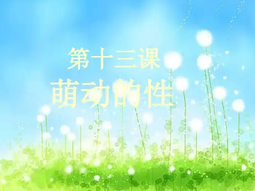 生命生态安全培训PPT课件(41页)