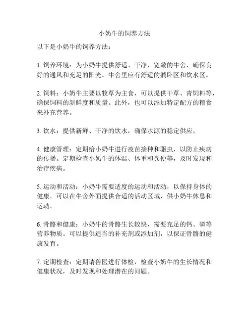 小奶牛的饲养方法
