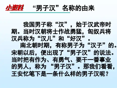 《我们家的男子汉》公开课课件
