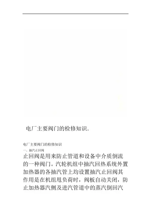 电厂主要阀门的检修知识