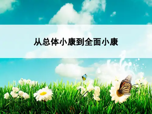从总体小康到全面小康