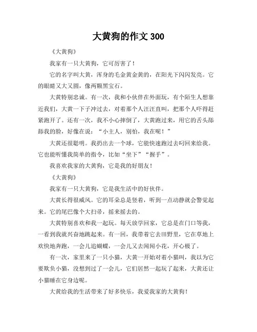 大黄狗的作文300