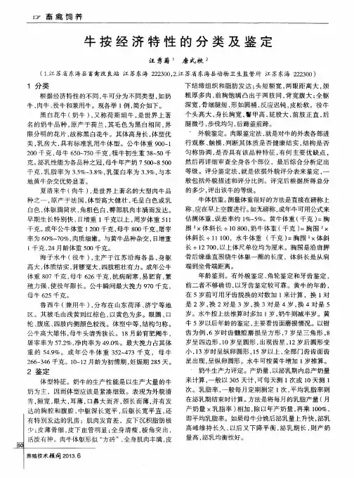牛按经济特性的分类及鉴定