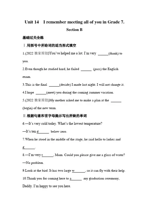 英语人教九年级全一册人教版 Unit 14 全练版：Section B