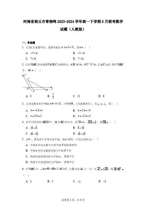 河南省商丘市青桐鸣2023-2024学年高一下学期5月联考数学试题