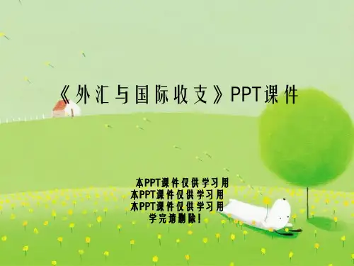 《外汇与国际收支》PPT课件