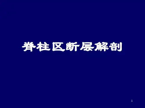 脊柱区断层解剖--简ppt课件