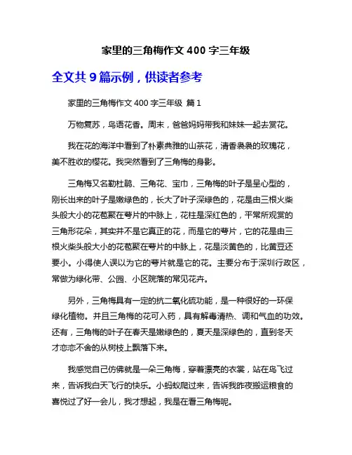 家里的三角梅作文400字三年级