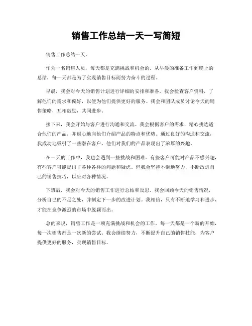 销售工作总结一天一写简短