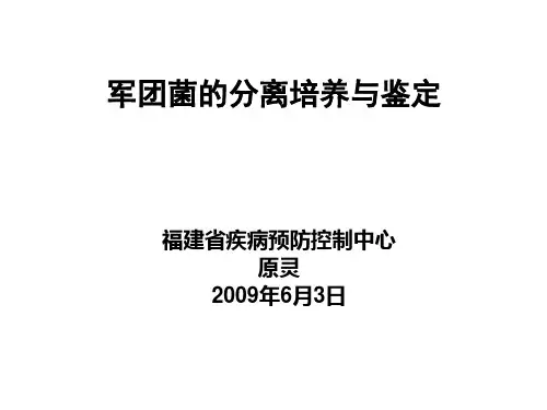 军团菌的分离培养与鉴定