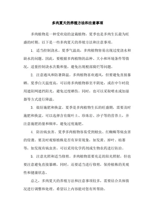 多肉夏天的养殖方法和注意事项