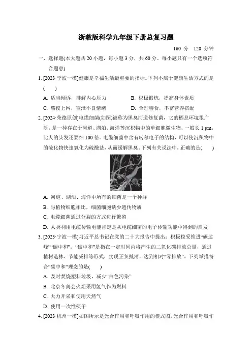 浙教版九年级下册科学总复习题