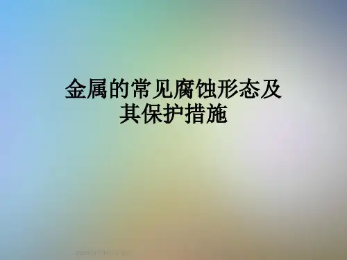 金属的常见腐蚀形态及其保护措施
