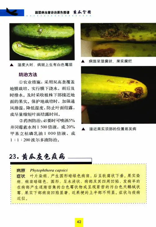 蔬菜病虫害诊治原色图谱黄瓜分册防治方法