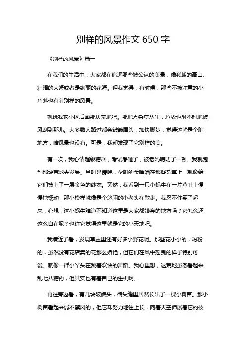 别样的风景作文650字