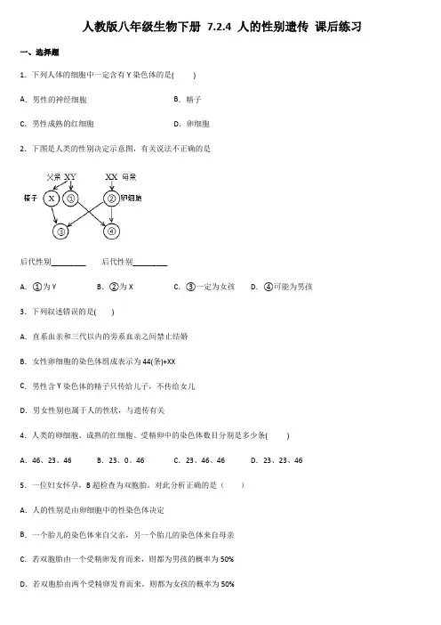 2020--2021学年人教版八年级生物下册 7.2.4 人的性别遗传 课后练习